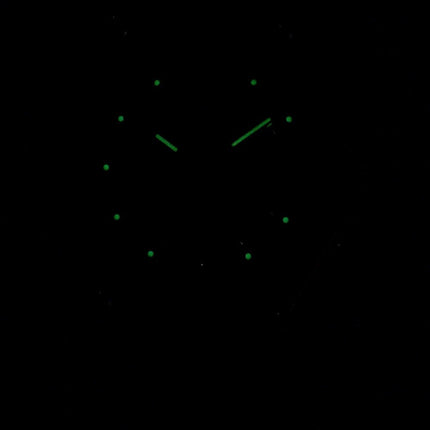 Orient RA-AA0B02R19B Automatic 22 Jewels Herreur
