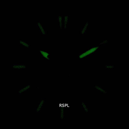 Orient Defender RA-AK0405Y10B Automatisk herreur