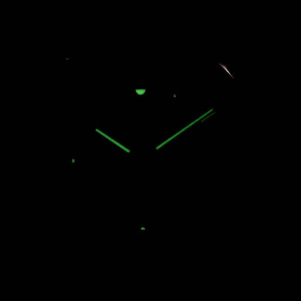 Seiko Quartz analoge SGEE41 SGEE41P1 SGEE41P Herreur
