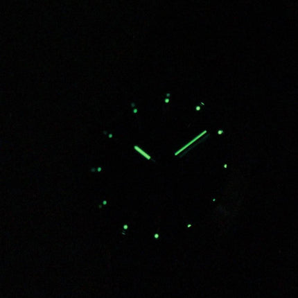 Seiko Titanium SGG601P1 SGG601 SGG601P Herreur