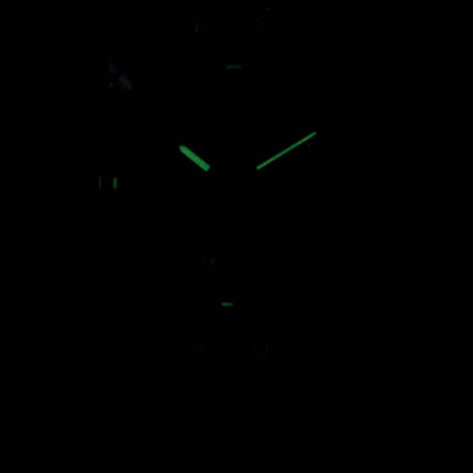 Seiko Titanium safir SGG729P1 SGG729 SGG729P Herreur
