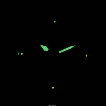 Seiko Kinetic Sports SKA745P2 Herreur