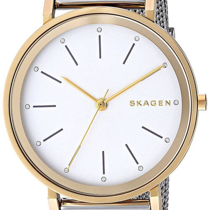Skagen Hald kvarts SKW2508 kvinders Watch