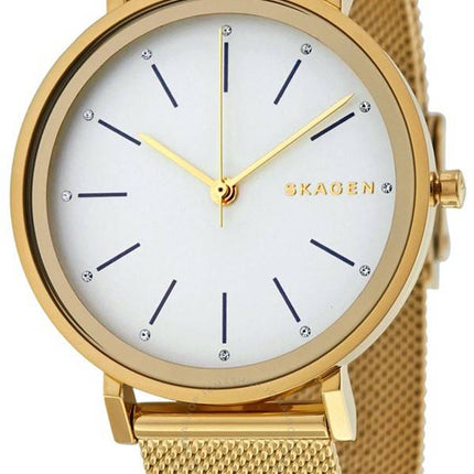 Skagen Hald kvarts SKW2509 kvinders Watch
