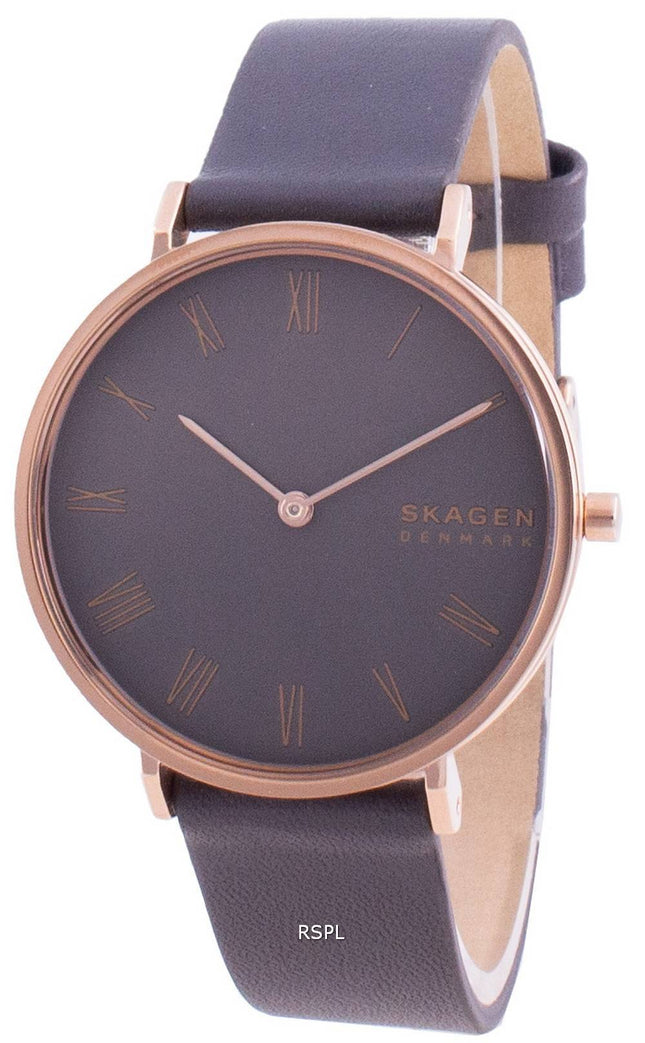 Skagen Hald SKW2816 Quartz Women',s Watch