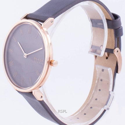 Skagen Hald SKW2816 Quartz Women',s Watch