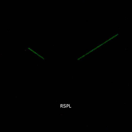 Skagen Signature SKW6528 Quartz Herreur