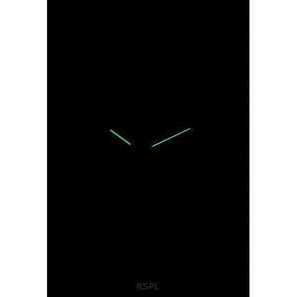 Skagen Signatur Læderrem Black Dial Quartz SKW6902 Herreur