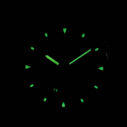 Seiko Titanium Quartz SLC043 SLC043P1 SLC043P Herreur