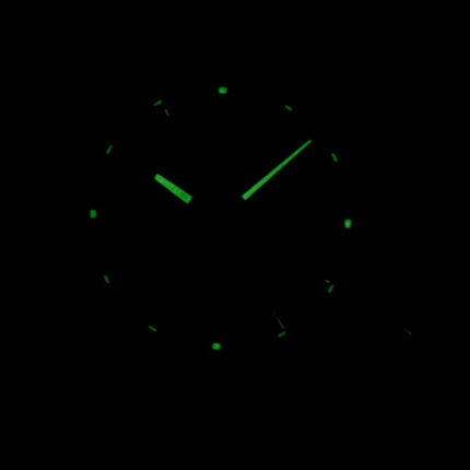 Seiko Quartz Chronograph SNDA87P2 Herreur