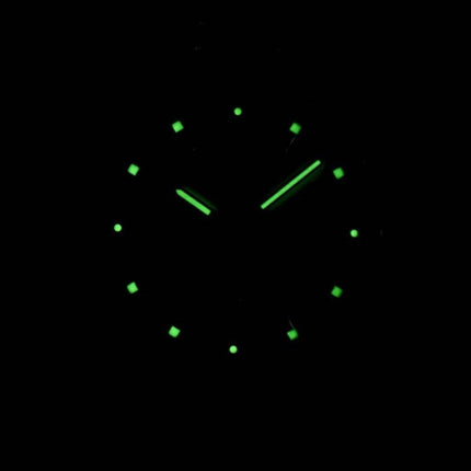 Seiko Quartz Chronograph SNDB09 SNDB09P1 SNDB09P Herreur