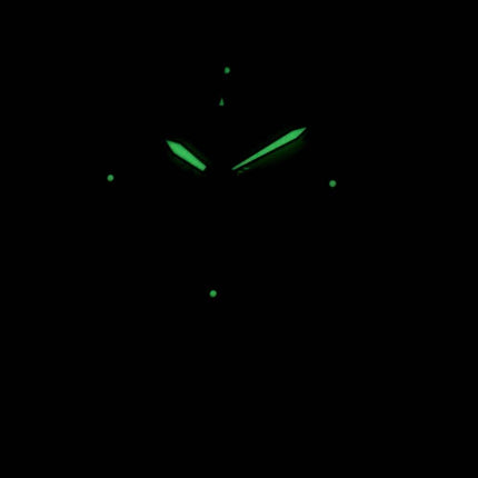 Seiko Chronograph SNDC31P1 SNDC31 SNDC31P Herreur