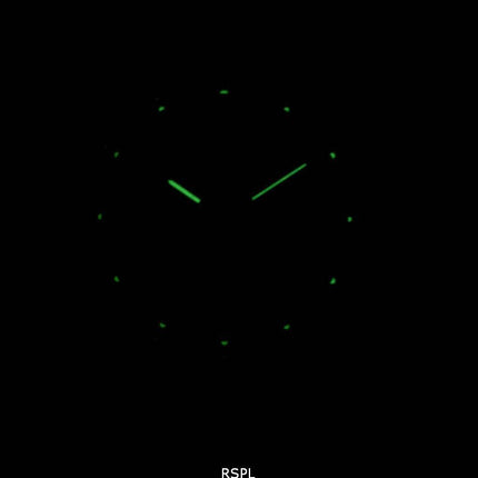 Seiko Solar SNE031 SNE031P1 SNE031P Herreur