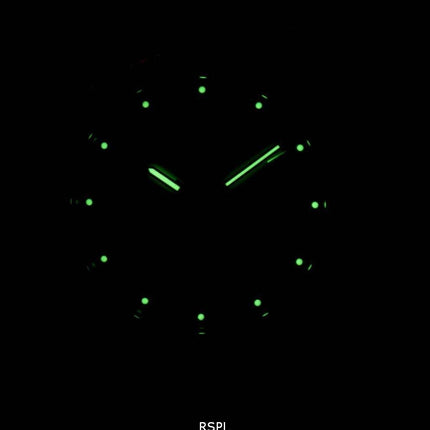 Seiko Solar SNE037 SNE037P1 SNE037P Herreur