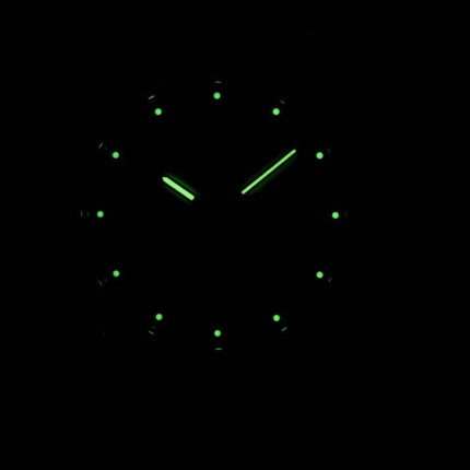 Seiko Solar SNE041 SNE041P1 SNE041P Herreur