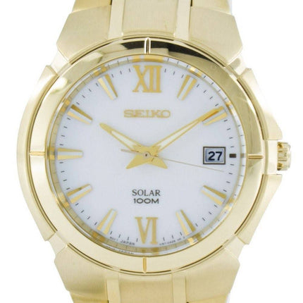 Seiko Solar SNE090 SNE090P1 SNE090P Herreur