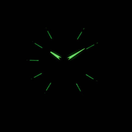 Seiko Solar SNE090 SNE090P1 SNE090P Herreur