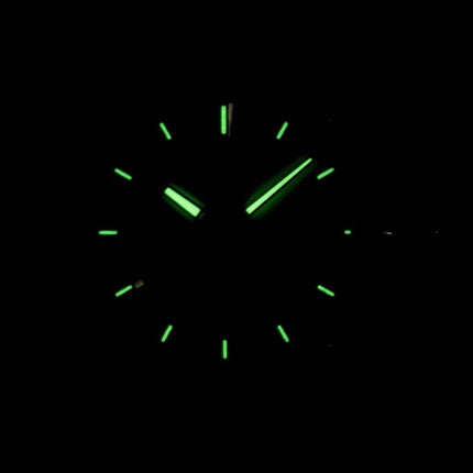 Seiko Solar Titanium SNE139 SNE139P1 SNE139P Herreur