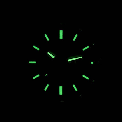 Seiko Solar SNE175 SNE175P1 SNE175P Herreur