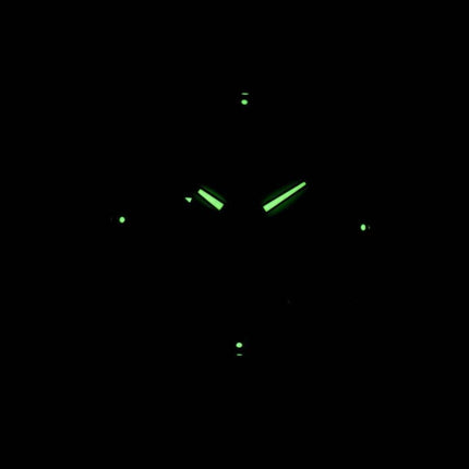 Seiko Solar SNE216 SNE216P1 SNE216P Herreur