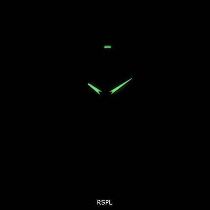 Seiko Solar Titanium 100M SNE375 SNE375P1 SNE375P Herreur