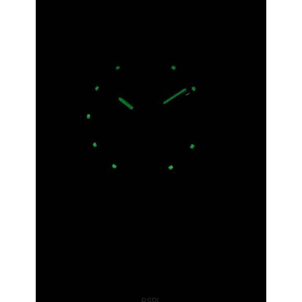 Seiko 5 automatiske 21 juveler SNK393K1 SNK393K Herreur