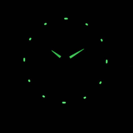 Seiko 5 automatiske 21 juveler SNKN89 SNKN89K1 SNKN89K Herreur