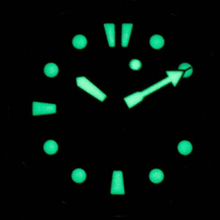Seiko Prospex Turtle Automatic Diver',s SRPC23 SRPC23J1 SRPC23J 200M Herreur