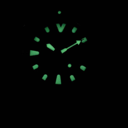 Seiko Prospex Mini skildpadde automatisk dykkerens 200M Japan gjort SRPC39J SRPC39J1 SRPC39 Herreur