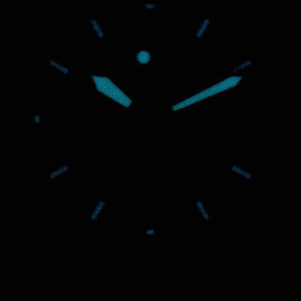 Seiko Prospex Automatic Field Compass SRPD31 SRPD31J1 SRPD31J Japan Made 200M Herreur