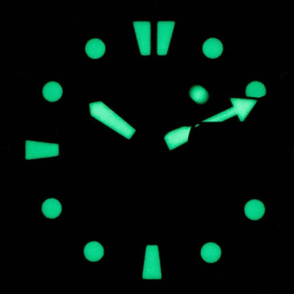 Seiko Prospex Turtle International Edition Automatic Diver',s SRPE05 SRPE05J1 SRPE05J 200M Herreur