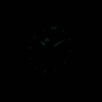 Seiko Sportura Kinetic GMT SUN017P1 SUN017P Herreur