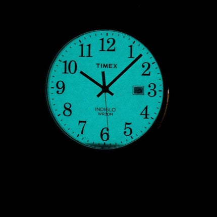 Timex Easy Reader Indiglo Quartz TW2P75600 Herreur