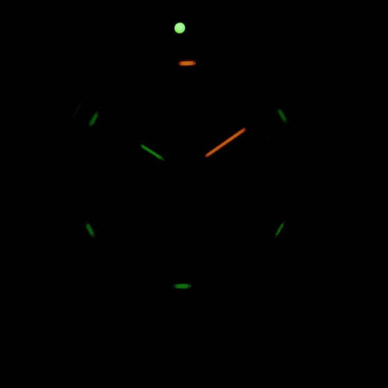 Luminox Leatherback Sea Turtle XS.0337 Quartz Herreur